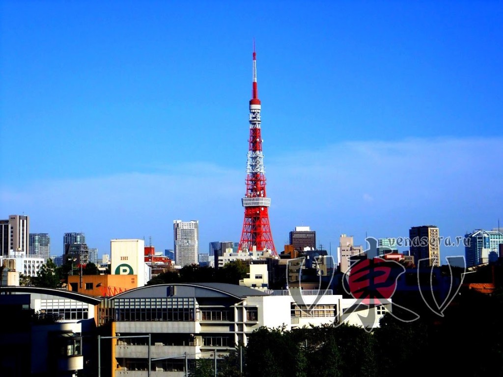 Вида на Tokyo Tower - Roppongi Hills Вид на Токийскую башню. Роппонги Хиллз.